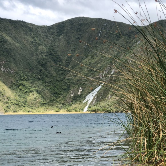 Meet your Posher, Tatiana - Picture 1 of 1